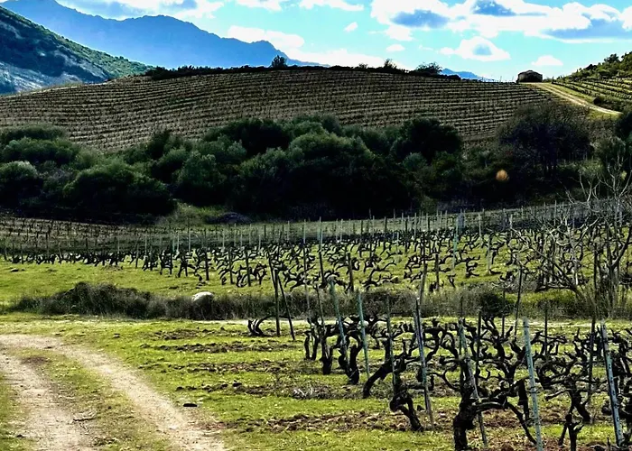 بيت ضيافة Casa Bianca Maison Blanche سانت فلوران