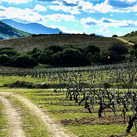 Pensión Casa Bianca Maison Blanche Saint-Florent (Corsica)