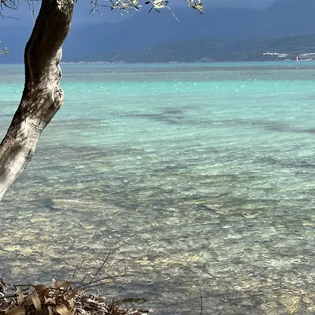Casa Bianca Maison Blanche Saint-Florent (Corsica)