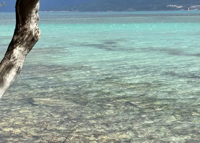 Casa Bianca Maison Blanche Saint-Florent (Corsica)
